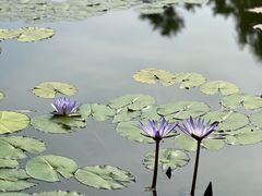 -国家植物园南园