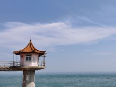 -小麦岛公园