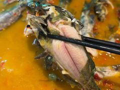 -听香·678茶铺(猛追湾店)
