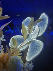 -雅奇婚庆(永乐园社区店)