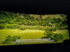 -万达影城(金牛万达广场激光IMAX店)