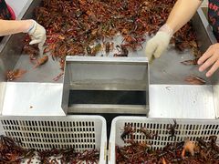 -海岛八号龙虾烧烤田鸡(蓝天路总店)