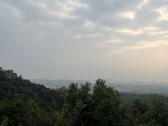 -火炉山森林公园