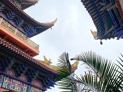-东莞市大岭山森林公园