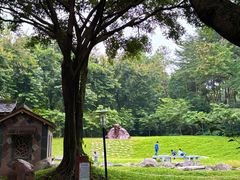 -深圳国际园林花卉博览园