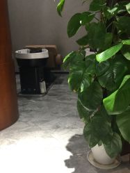 -思妍丽美发沙龙