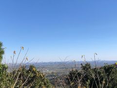 -香山公园