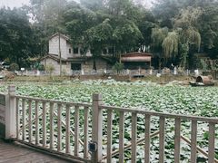 -巴山一绝烤全羊(三圣乡刘家花园店)