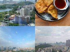 -安乐茶饭·手工素菜·高空景观餐厅(千灯湖店)