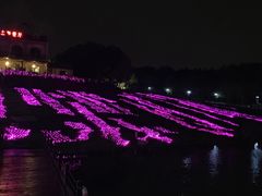-大塘金香草谷