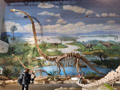 -自贡恐龙博物馆