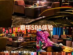 -索拉古贝(义乌北苑店)