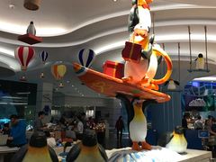 -帝企鹅自助餐厅•儿童岛•真企鹅(长隆企鹅酒店)