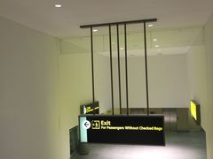 -约翰·菲茨杰拉德·肯尼迪国际机场