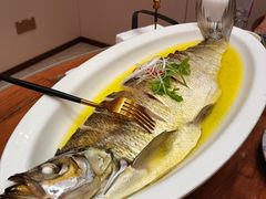 -鲁宴·鲁煨黄河生态大鲤鱼(月坛店)
