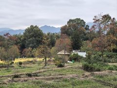 -塔川景区