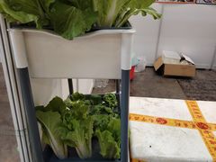 -南宁国际会展中心(会展东博文化旅游区)