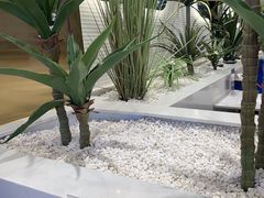 -兰湘子·湘菜小炒(崂山丽达店)