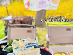 -上海滨江森林公园