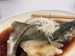 -紫光园·烤鸭·北京菜(劲松店)