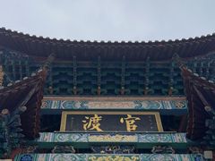 -眼镜粑粑