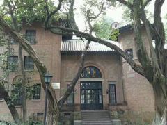 -中山大学学者灵芝(园南路店)