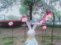 -高东镇樱花园