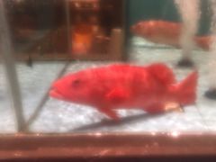 -阿伟海鲜楼·福建菜(延寿店)