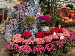 -北京稻香村(五道口店)