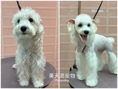 -FAELING PETS美天灵宠物(合生汇店)