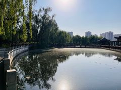 -莲花池公园