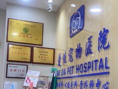 -爱佳宠物中心医院24H·CT·骨外科·猫专科(瑶海万达店)