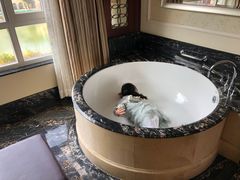 -深圳东部华侨城茵特拉根酒店