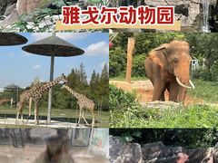 -宁波野生动物园
