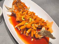 -姑苏家宴·苏帮菜·松鼠桂鱼(苏州总店)