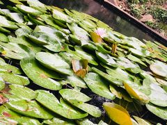 -南京市无想山景区