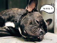 -F518时尚创意园