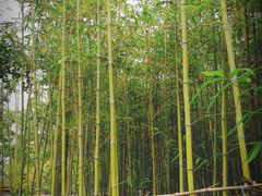 -唐城墙遗址公园