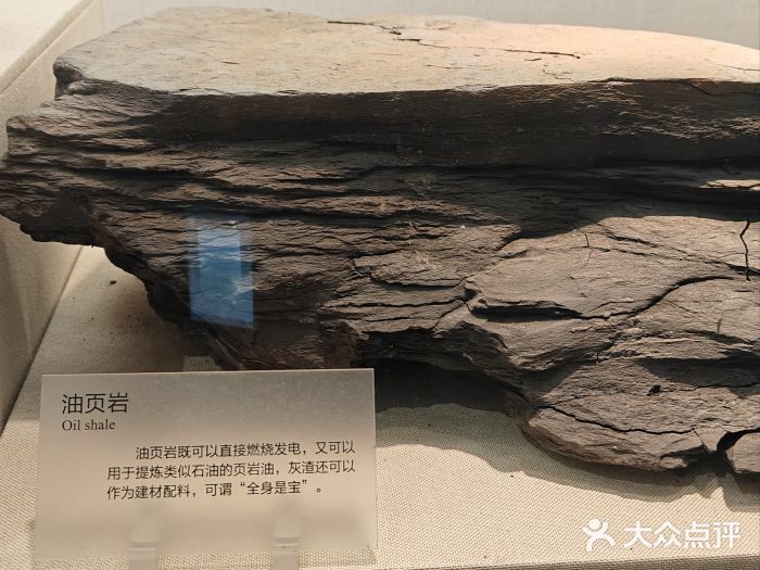 广东省博物馆图片