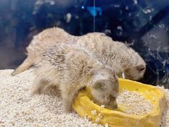 -太平洋海底世界