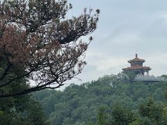 -北山公园