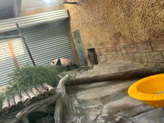 -常州淹城野生动物世界