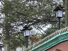 -黔灵山公园