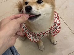 -中国徽菜·徽商故里(罍街店)