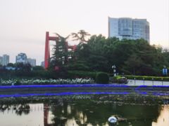 -康庄公园