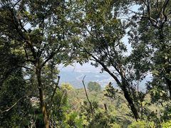 -黄埔油麻山森林公园