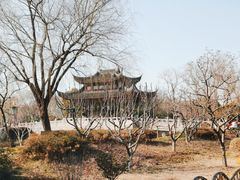 -枫桥景区