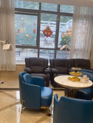 -碧莲盛·不剃发植发