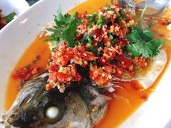 剁椒蒸鱼-格力东澳大酒店-蓝色海岸餐厅