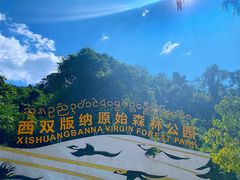 -西双版纳原始森林公园